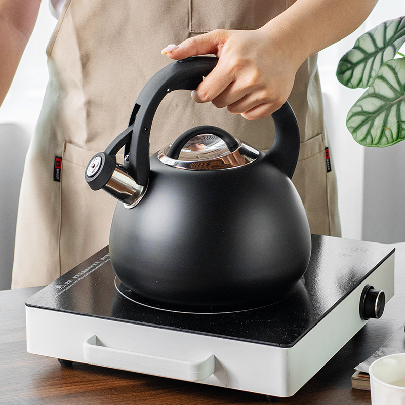 Honking Kettle Original Home Bar bevel lid stainless steel kettle 2.5L black honking kettle